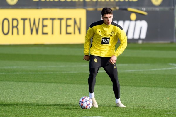 德天外：雷纳与帕尔马基本完结一致，多特要价至少1000万欧