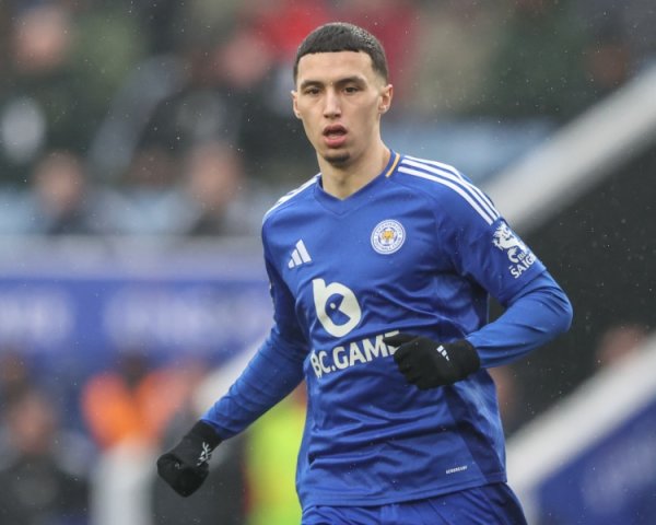 记者：利兹热刺西汉姆挑升蓝狐中场埃尔哈努斯，转会费约2200万镑